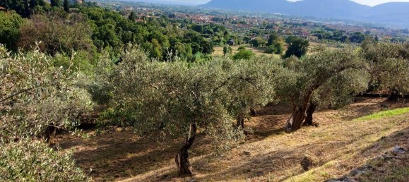 17 rooms Villa in Castelnuovo Magra, Italy No. 137175 42