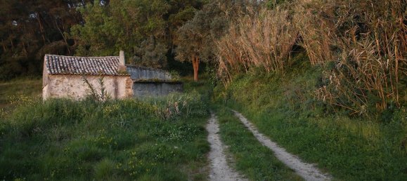 Casa de 9 dormitorios en Sintra, Portugal No. 119886 15