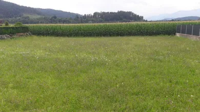  Land in Volkermarkt, Austria No. 153935