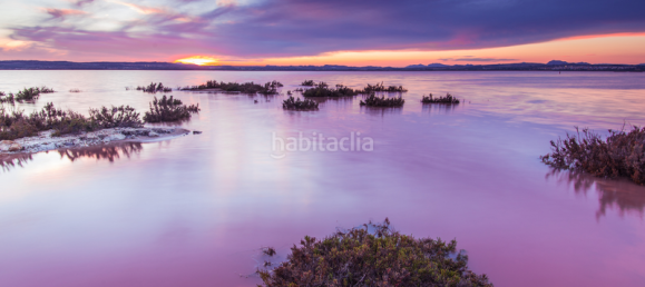 Вилла с 6 спальнями в Торревьеха, Испания № 51653 9