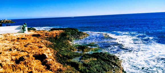 Вилла с 6 спальнями в Торревьеха, Испания № 51653 10