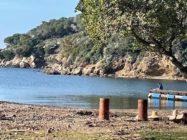 3 rooms Apartment in Rio, Italy No. 136813