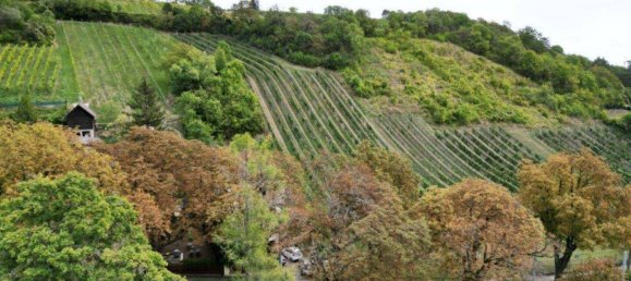  قطعة أرض في Dobling, Austria 756متر مربع رقم 165945 3