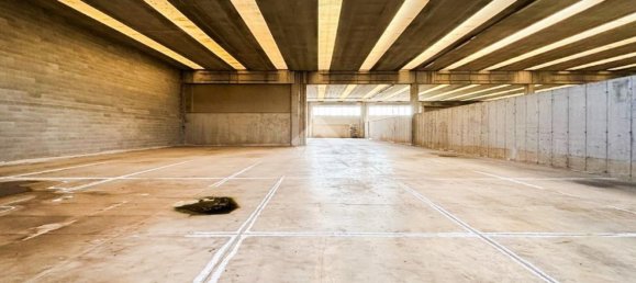 Armazém em Offlaga, Italy 6000 m² N.º 52688 5