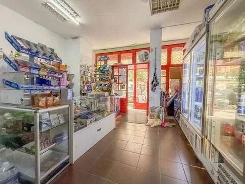 2 bedrooms Commercial property in Malaga, Spain No. 228113
