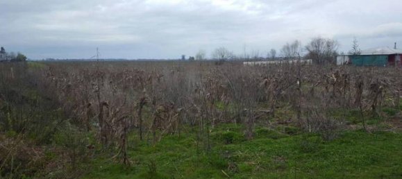  Land in Maule, Chile No. 946 2