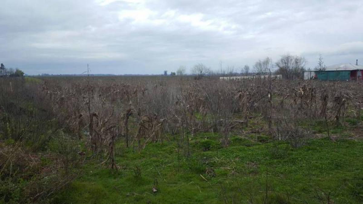  Land in Maule, Chile No. 946