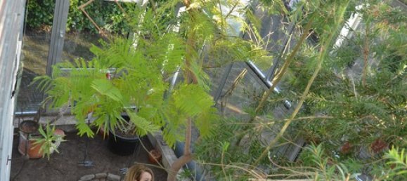 1 Schlafzimmer Haus in Borken, Germany, Nr. 218364 18