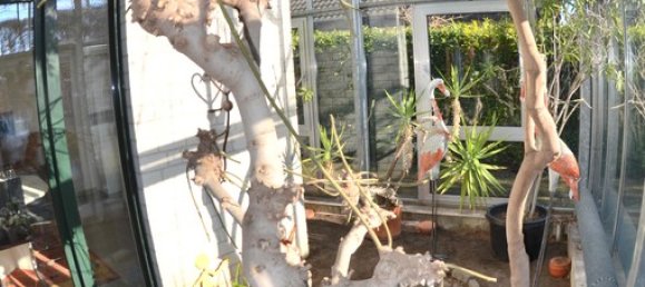 1 Schlafzimmer Haus in Borken, Germany, Nr. 218364 12