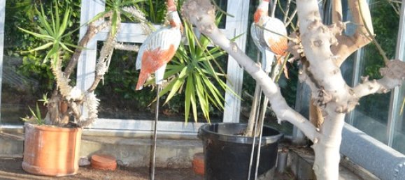 1 Schlafzimmer Haus in Borken, Germany, Nr. 218364 11