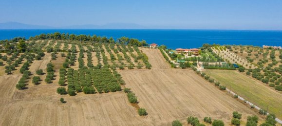 فندق في Chalkidiki, Greece 9900متر مربع رقم 3712 7