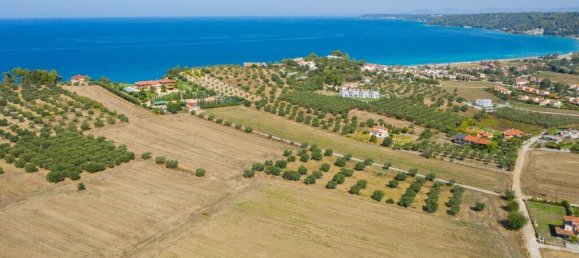 9900m² Hotel in Chalkidiki, Greece No. 3712 4