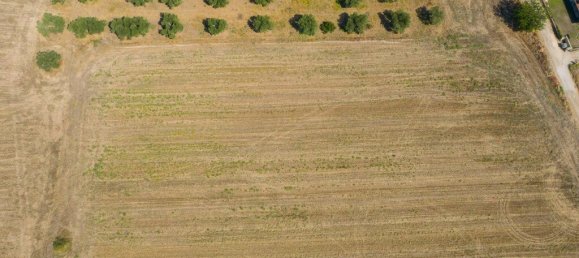 9900m² Hotel in Chalkidiki, Greece No. 3712 8