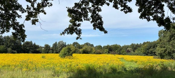 4 rooms House in Havelland, Germany No. 370084 24