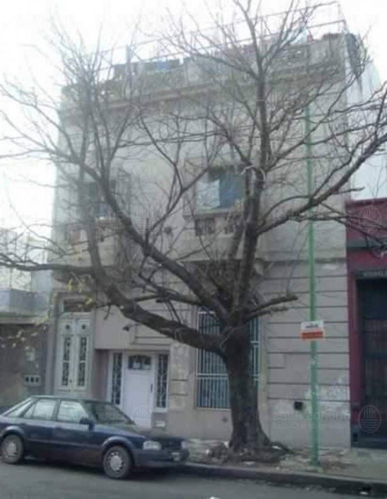 Grundstück in Buenos Aires, Argentina, Nr. 120973