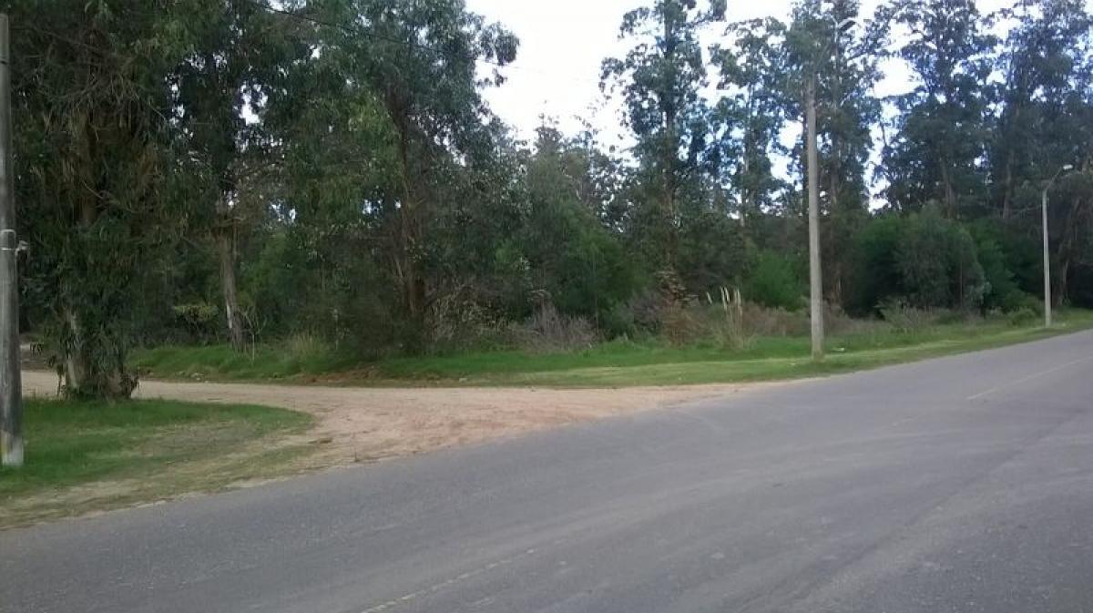 Grundstück in Maldonado, Uruguay, Nr. 15119