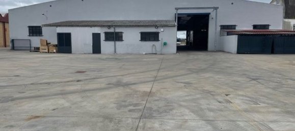 3563m² Warehouse in Carbajosa de la Sagrada, Spain No. 79013 8