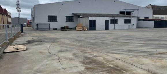 3563m² Warehouse in Carbajosa de la Sagrada, Spain No. 79013 9