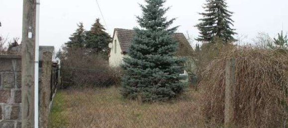 2 rooms House in Markisch-Oderland, Germany No. 43676 3