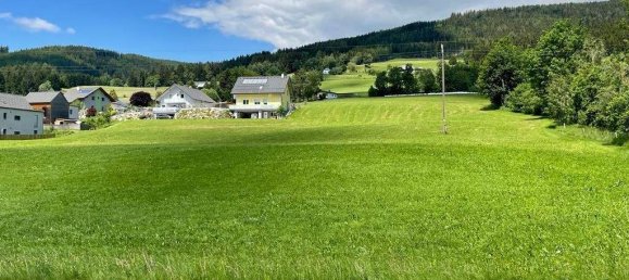  قطعة أرض في Rettenegg, Austria رقم 244647 2