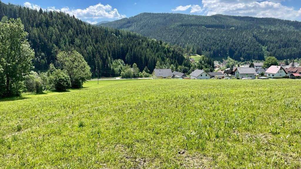  قطعة أرض في Rettenegg, Austria رقم 244647