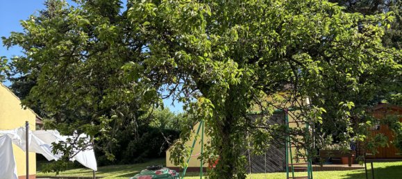 360m² Hotel in Dresden, Germany No. 19769 53