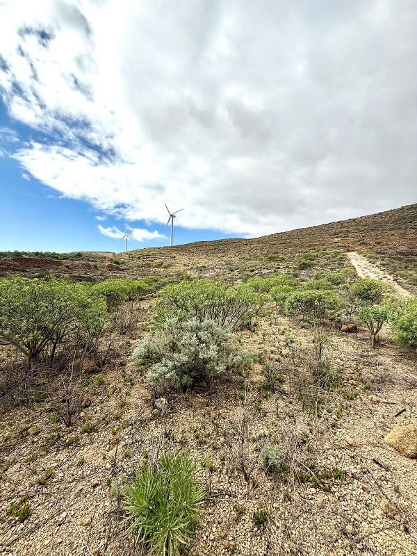 Terreno en Arico, Spain 58546 m² No. 244087