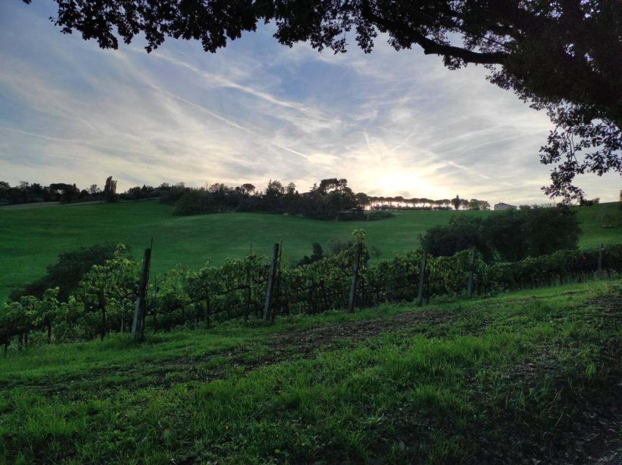 Villa de 7 divisões em Pesaro, Italy N.º 173828