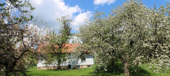 3 rooms House in Wienerwald, Austria No. 14806 26