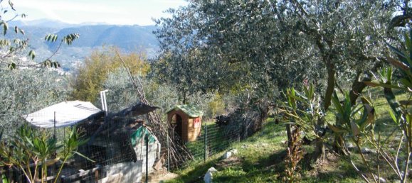 3 غرف نوم فيلا في Alatri, Italy رقم 85243 2