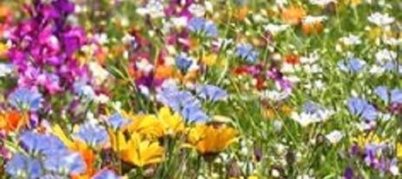 Grundstück in Saint-Pierre-des-Corps, France 500m², Nr. 209196 2