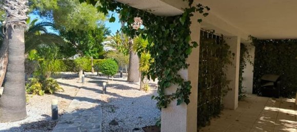 5 غرف نوم فيلا في Torrevieja, Spain رقم 176623 4