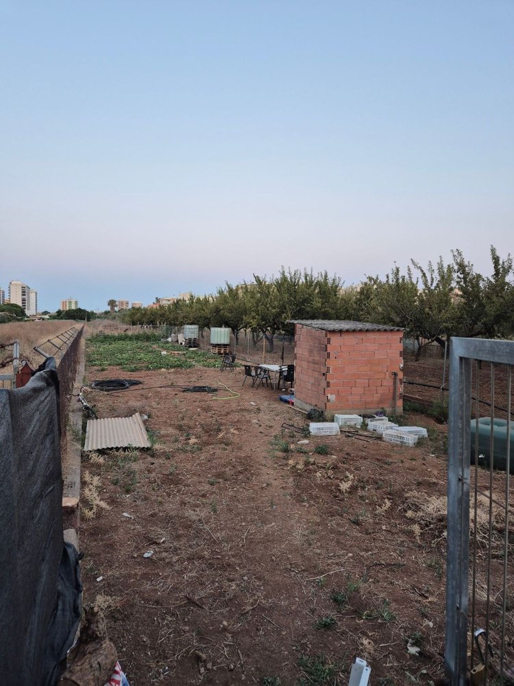  Land in Castellon, Spain No. 162895