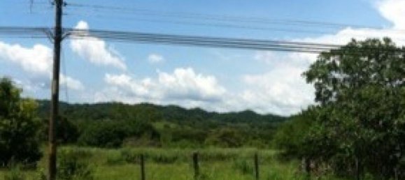 Terreno en Puntarenas, Costa Rica No. 1513 3