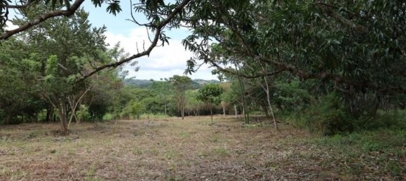 Terreno en Puntarenas, Costa Rica No. 1513 2