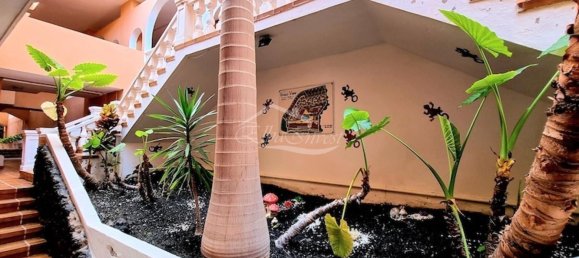 1 chambre Duplex à Adeje, Spain No. 123671 24