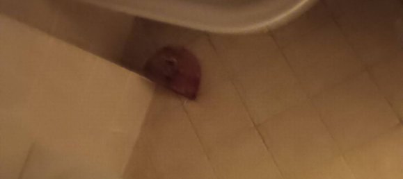 4 rooms House in Montespertoli, Italy No. 68681 27