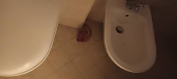 4 rooms House in Montespertoli, Italy No. 68681 25