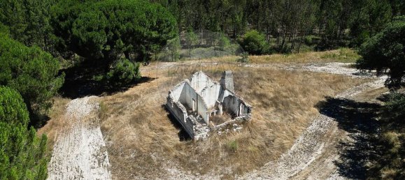 1 غرف نوم منزل في Coruche, Portugal رقم 75199 10