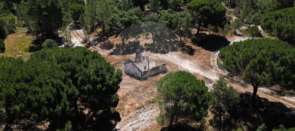 1 غرف نوم منزل في Coruche, Portugal رقم 75199 5