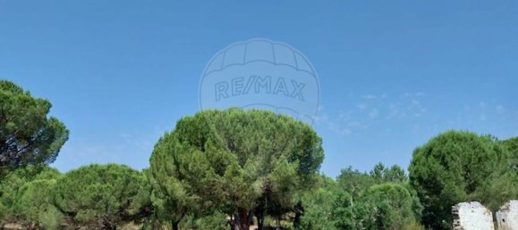 1 غرف نوم منزل في Coruche, Portugal رقم 75199 6