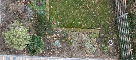 3 rooms Apartment in Ludwigshafen am Rhein, Germany No. 305767 32