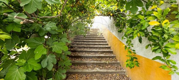 9 bedrooms Building in Evora, Portugal No. 140171 36