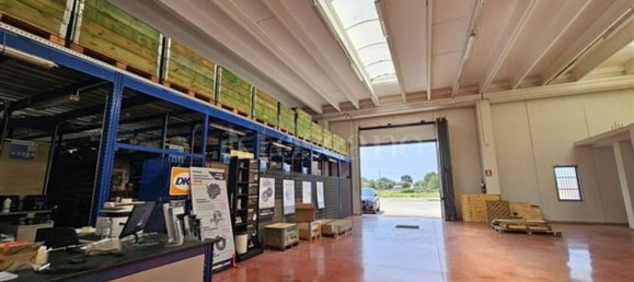 Склад 1500м² в Сабаудия, Италия № 373011 12