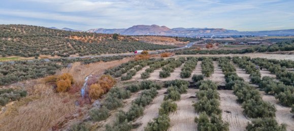 Земельный участок 54273м² в Вегас-дель-Хениль, Испания № 175196 14