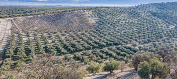 Земельный участок 54273м² в Вегас-дель-Хениль, Испания № 175196 23