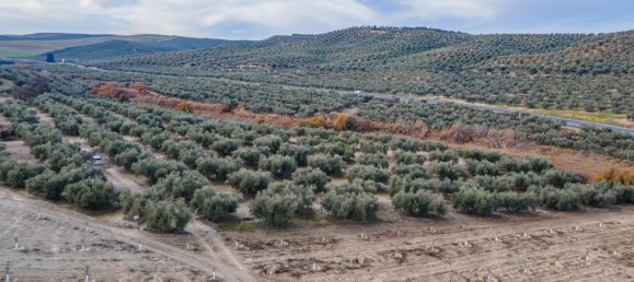 Земельный участок 54273м² в Вегас-дель-Хениль, Испания № 175196 10