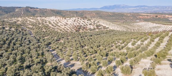 Земельный участок 54273м² в Вегас-дель-Хениль, Испания № 175196 2