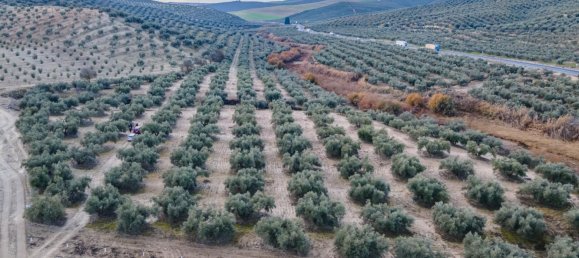 Земельный участок 54273м² в Вегас-дель-Хениль, Испания № 175196 7