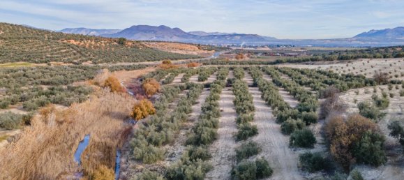 Земельный участок 54273м² в Вегас-дель-Хениль, Испания № 175196 16